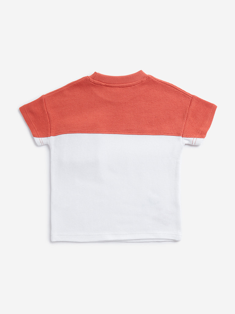 Westside HOP Kids Dusty Orange Colour blocked Cotton T-Shirt for Casual Wear Back View
