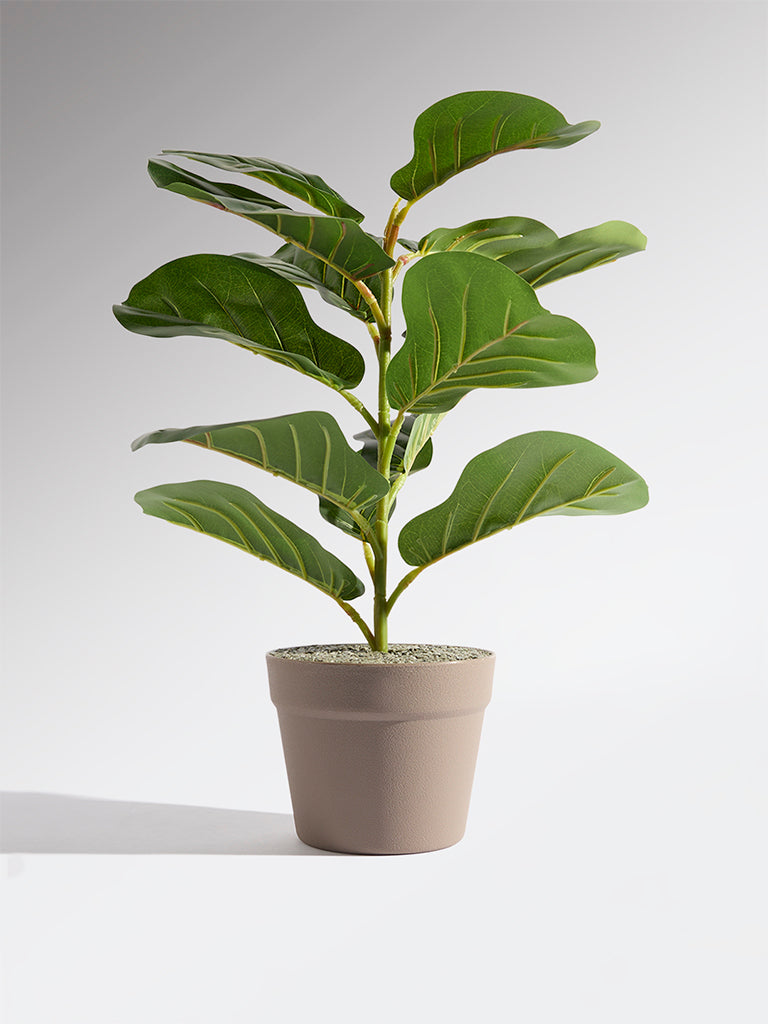 Westside Home Green Artificial Fiddle Plant - Small