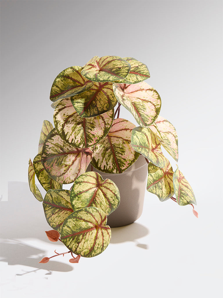 Westside Home Green and Pink Artificial Caladium Plant - Small