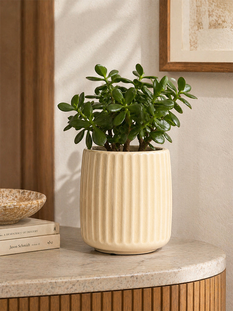 Westside Home Off White Striped Ceramic Planter