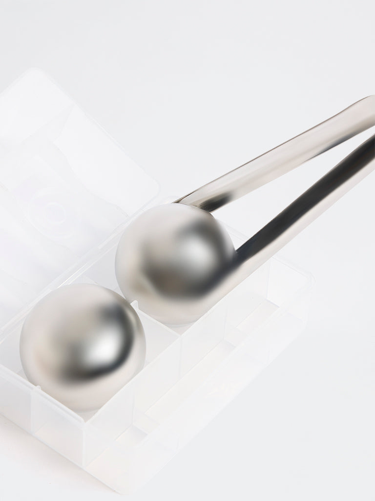 Westside Home Silver Ice Cube Set with Tong