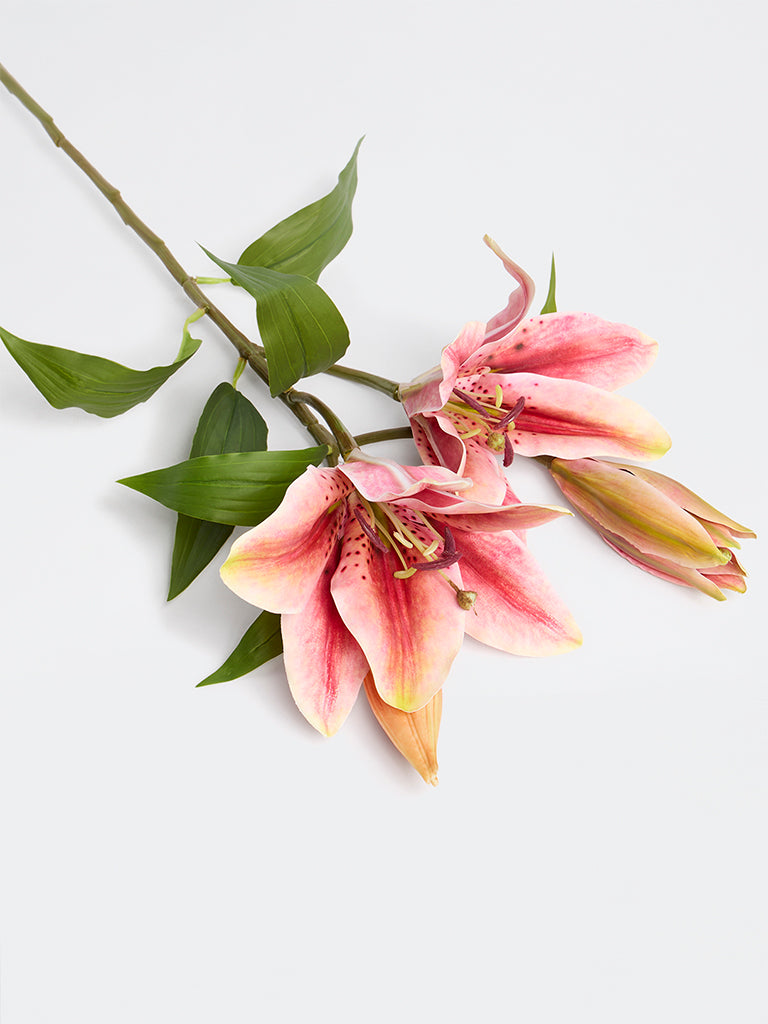Westside Home Pink Lily Artificial Flower