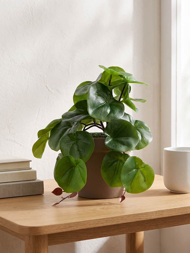 Westside Home Green Artificial Rubber Plant