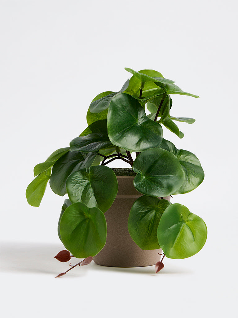 Westside Home Green Artificial Rubber Plant