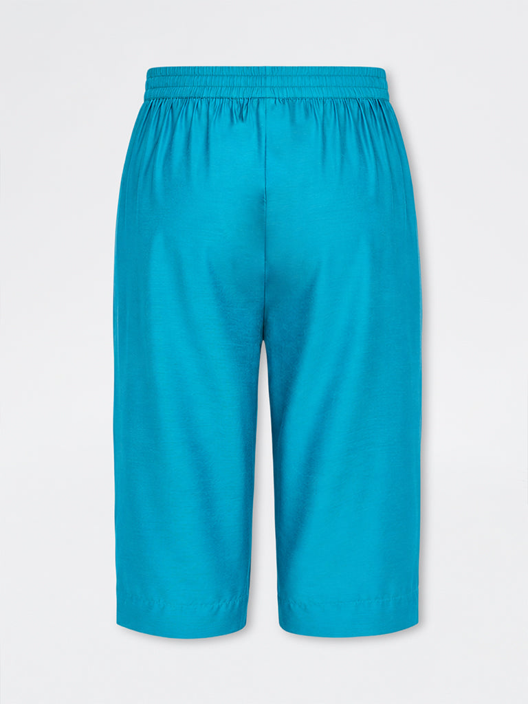 Diza Turquoise Solid Pants