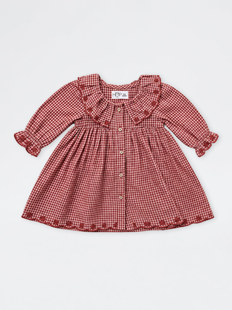 HOP Baby Girls Red Gingham Checkered Cotton A-Line Dress