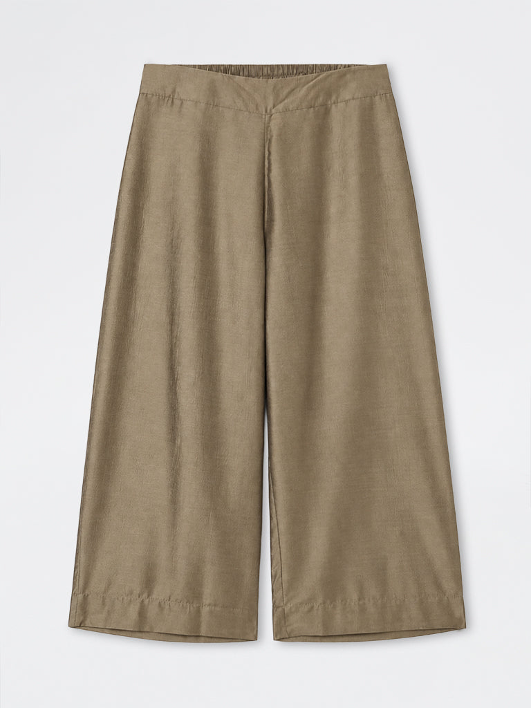 Diza Brown Solid Pants