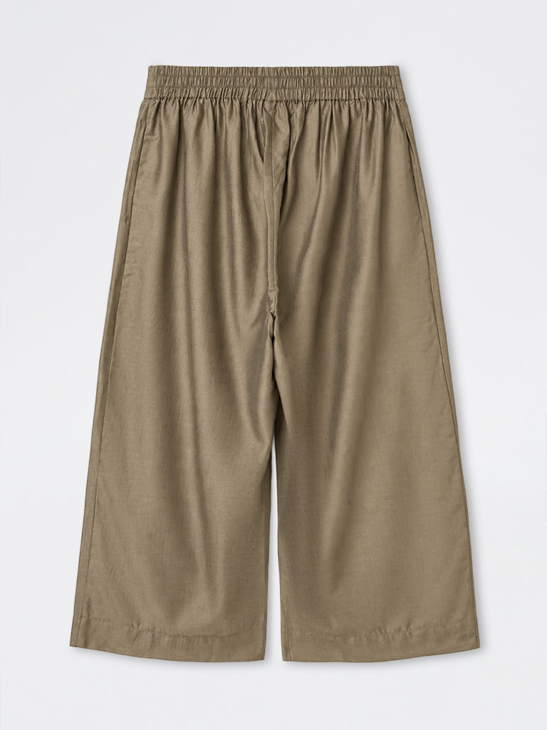 Diza Brown Solid Pants