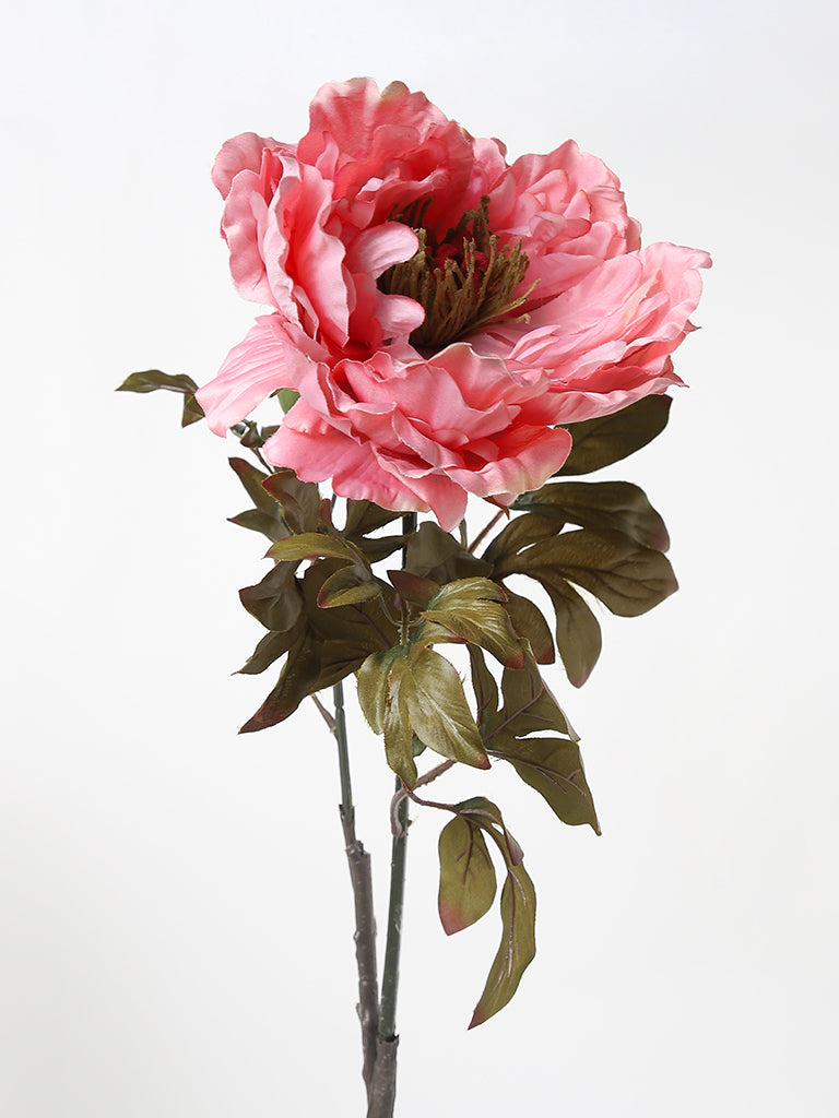 Westside Home Soft Pink Peony Flower